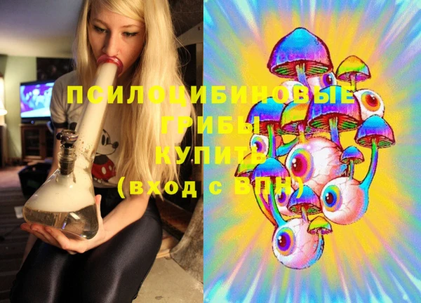 шишки Алзамай