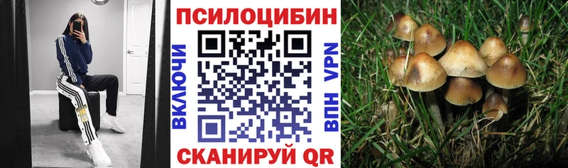 цена   Исилькуль  Галлюциногенные грибы мицелий 